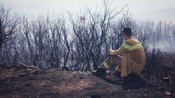 Forest Fires In Izmir Turkey Spread To Near Settlements, Residents Evacuated