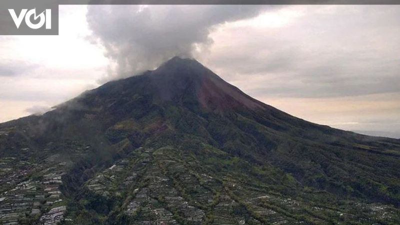 Gunung Merapi Muntahkan Awan Panas Ke Barat Daya Sejauh 2 Km