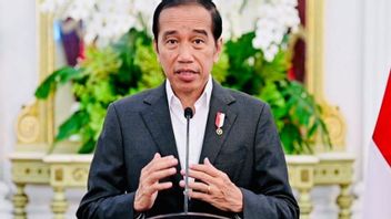 Jokowi Affirms Government Prepares Social Media-Based E-Commerce Rules