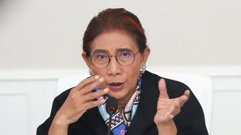 Rather Than Worrying About Finding A Replacement For Edhy Prabowo At The KKP, Observers Suggest That Jokowi Choose Susi Pudjiastuti