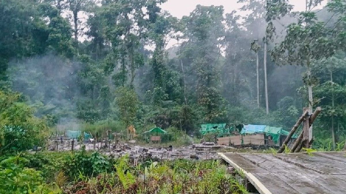 Lagi-lagi, Sipil Tewas Diserang OTK di Wilayah Tambang Pegunungan Bintang Papua