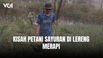 मेरापी की ढलान पर सब्जी किसानों की आय बढ़ी: एमबीजी रसोई की डिलीवरी