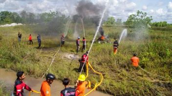 Zero Case, Rejang Lebong BPBD Continues To Map 7 Districts With Potential Forest And Land Fires