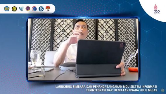 Luncurkan Simbara, Luhut: Hari Ini Batu Bara, Segera Akan Masuk Nikel