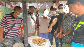 L’équipe Conjointe De La BKSDA De West Sumatra Arrête 2 Vendeurs D’os De Tigre