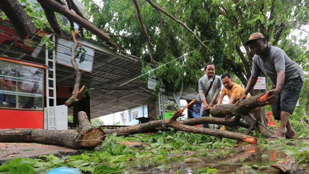 Strong Winds Hit Aceh, This Is BMKG's Explanation