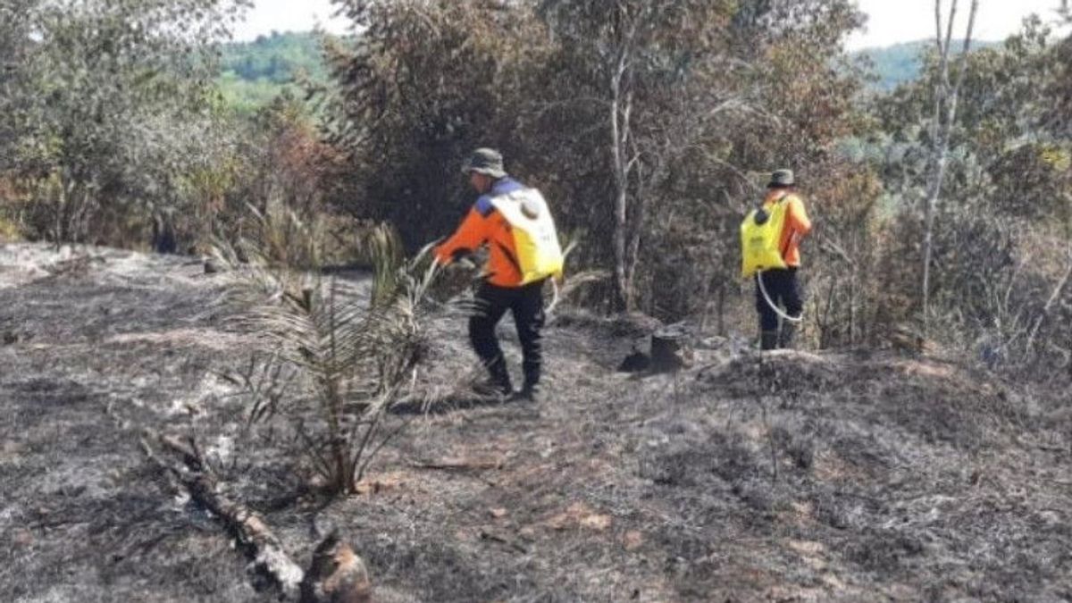 Pemprov Riau Petakan 134 Kecamatan Rawan Karhutla