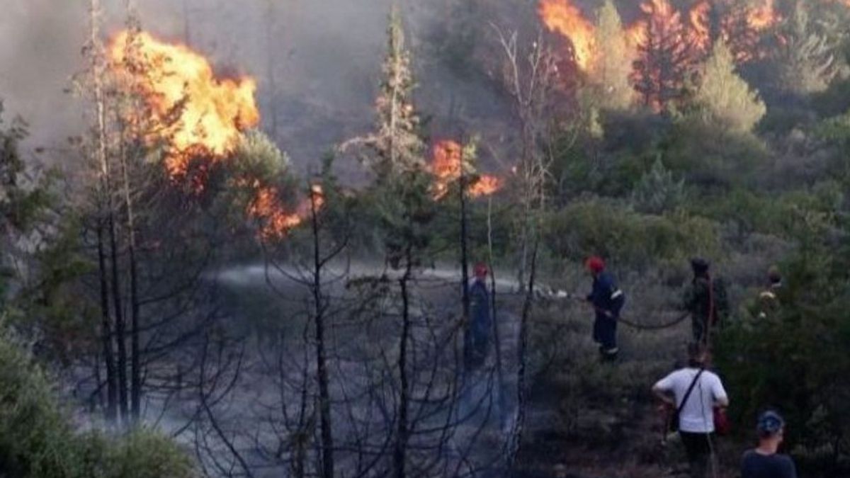Successfully Handling Land Fires, 7 Villages In East Kalimantan Awarded
