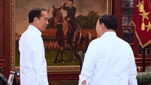 Pertemuan Tertutup Jokowi-Prabowo Malam-malam, Gerindra: Cerita Suka Duka