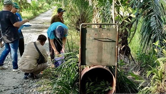 BKSDA Kalsel Pantau Beruang Madu yang Muncul 3 Kali di Desa Kuripan