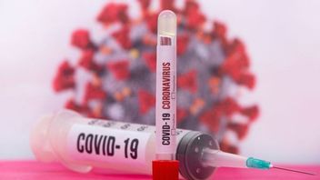 Hadi Pranoto Claims COVID-19 Antibody Herbs Used In Bali, Head Of Health Office Denies