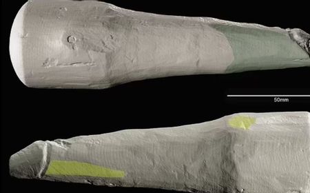 Studi Baru Temukan Benda Kuno dari Kayu yang Diduga Sebagai Alat Bantu Seks di Benteng Romawi