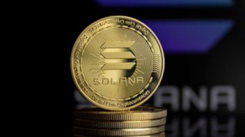 Solana Steals Crypto Investors' Attention When Bearish Market