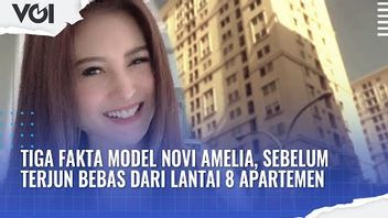 视频：三个事实模特诺维阿米莉亚，从公寓8楼自由落体之前