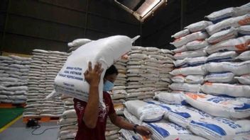 Un rapport non basé sur les faits, Bulog considéré comme victime d’allégations selon lesquelles il faut marquer les importations de riz du Vietnam