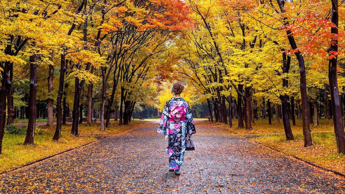 5 activités que les Japonais font l'automne