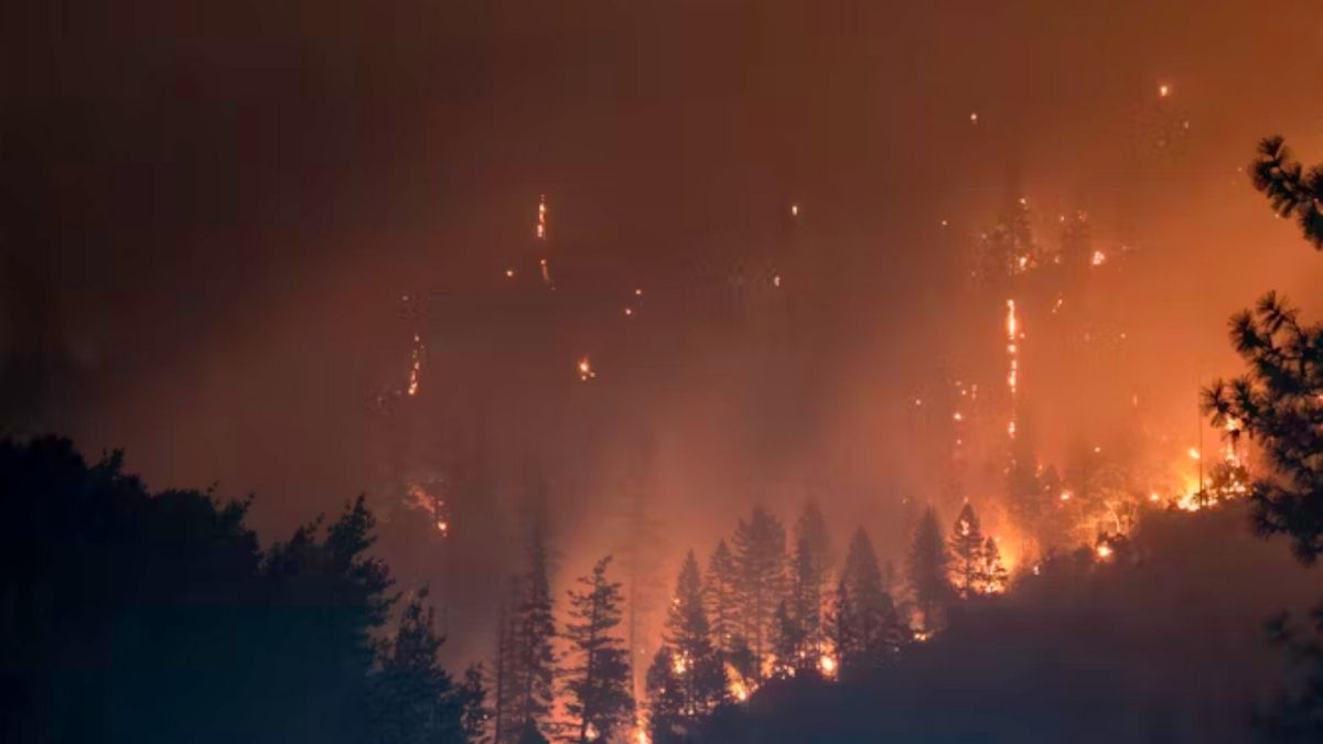 castique : les incendies de forêt de Californie du Sud ont atteint 4 856 hectares