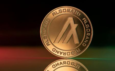 Uang Kripto Algorand Menguat Usai Dapat Suntikan Dana dari Arrington Capital