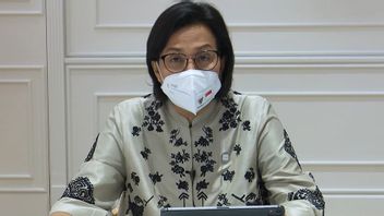 Sri Mulyani's Six Financial Issues In The Indonesian Presidency At The G20 Next Year