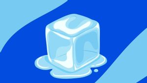 Komite DPR AS Minta Apple Jelaskan Aplikasi Pelacak Petugas Imigrasi