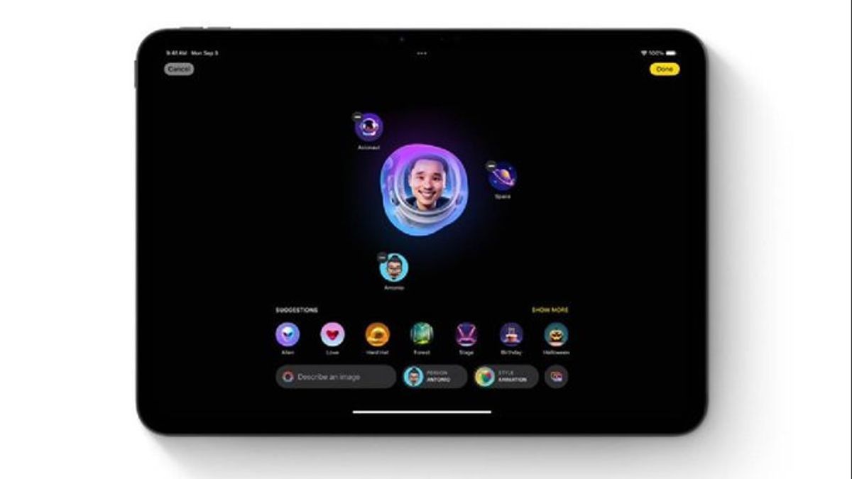 هذه هي الطريقة لاستخدام مخطط الصورة على iOS 18.2 لجعل Selfie مضحكا