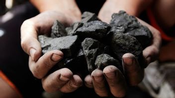 Coal Exports In June 2023 Drop Triggered By Volume Reduction And Price