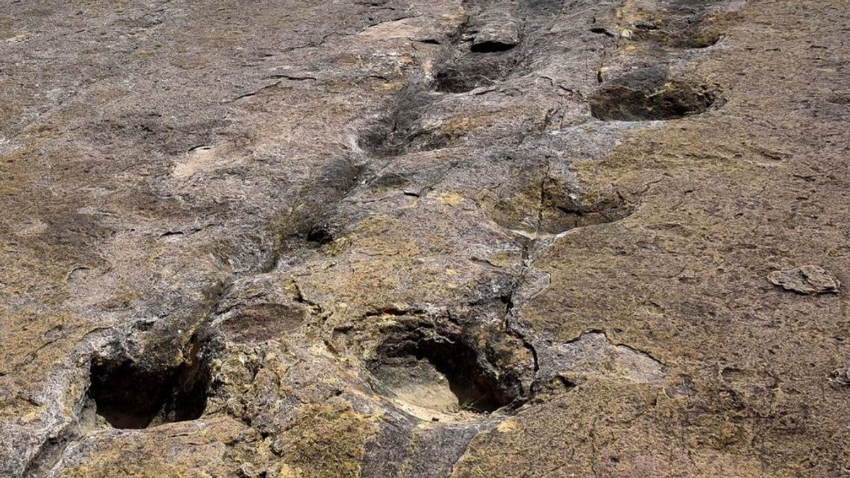 Puluhan Ribu Jejak Kaki dan Lintasan Renang Dinosaurus Ditemukan di Bolivia