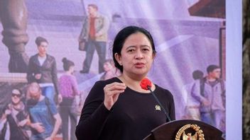 Puan Maharani Akan Bertemu Surya Paloh Terkait Kerja Sama Pemilu 2024