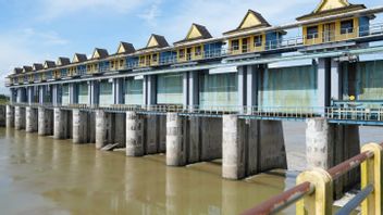 ベンドゥンワンプは、10,991ヘクタールの田んぼへのパーム油の土地変換をサポートするように最適化されています