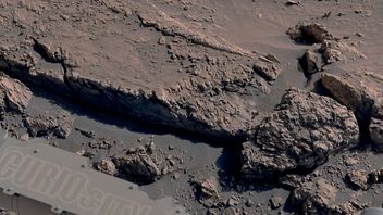 好奇号火星座火星背面发现了具有奇怪图案的岩石