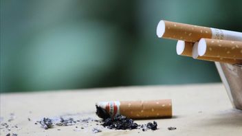 محظور التدخين في أماكن العمل في موكوموكو بنغكولو، وتنظم وكالة التوظيف العقوبات