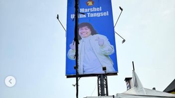 Gerindra는 Marshel Widianto가 South Tangerang 지역 선거에 출마할 기회를 열어줍니다