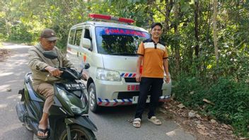 Sirene Ambulans Dinyalakan, Warga Agam Halau Harimau Sumatera dari Permukiman