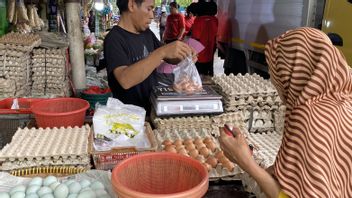 Les stocks nationaux d'œufs sont sûrs jusqu'à la fête de l'Indonesian Eid, Bapanas assure que le MBG ne perturbe pas les prix