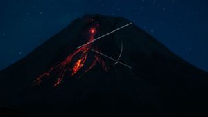 BPPTKG: Dua Kubah Lava Gunung Merapi Bertambah Tinggi