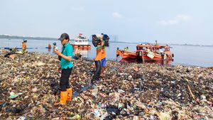 Puluhan Petugas dan 5 Kapal Diterjunkan Bersihkan Hamparan Sampah di Pantai Mangrove Muara Angke