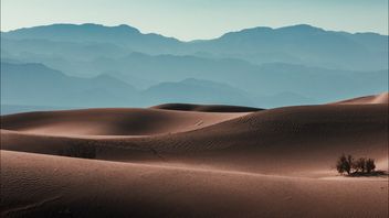Turis Belgia Masuk RS Gara-gara Kehilangan Sendal Jepit Saat Suhu di Death Valley Capai 50 Derajat Celcius