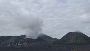 Badan Geologi: Aktivitas Vulkanik Gunung Bromo Meningkat, Statusnya Masih Waspada