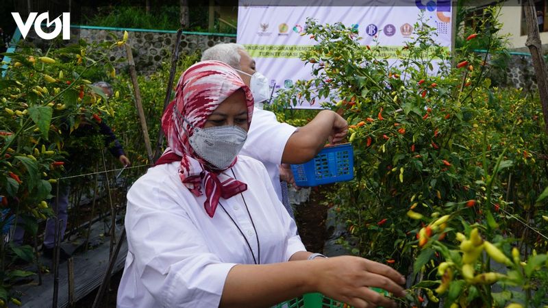 Anak Buah Airlangga Sebut Kemitraan Agribisnis Closed Loop Tingkatkan ...