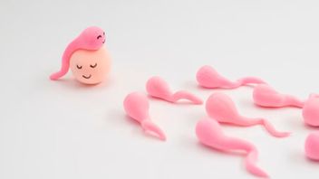 4 Ways to Find Out a Woman's Fertile Period After Menstruation