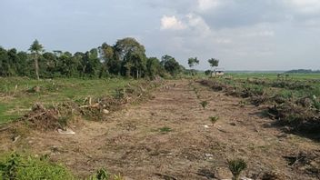 Pembiaran Lahan Kosong di Tegal Alur Kalideres Picu Keributan, Warga Minta Pemerintah Serius Kelola Aset