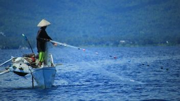Program Solar untuk Koperasi Nelayan Akan Diujicobakan di Tujuh Titik