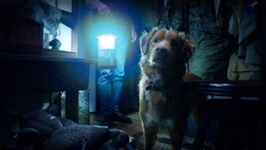 Review Film <i>Good Boy</i>: Hubungan Anjing dan Pemilik dalam Bungkus Horor