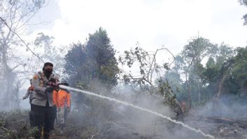 BPBD、警察、および関係者の懸命な取り組みは、リアウ州のメランティ諸島の森林と土地の火災を消火するために一日でターゲットに