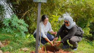 Bukan Sekadar Seremoni, Cara Baru Merayakan Hari Bumi yang Lebih Bermakna