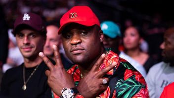 Offers To Be Highest Class Heavy Fighters At The UFC Did Not Mediate Francis Ngannou, Choosed To Be Unemployed