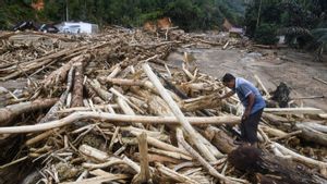 Kemenhut Pastikan Kayu di Lampung Bukan Hanyut Akibat Banjir Sumatera