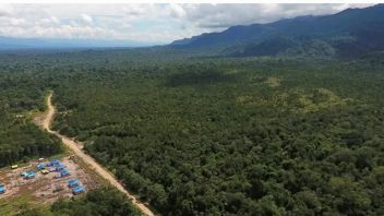 AMAN要求政府探讨承认传统林区的官僚主义障碍