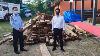 There Are Only Five Perpetrators In Number, But They Can Carry Out Illegal Logging Of 50 Cubic Feet Of Wood In Southeast Sulawesi