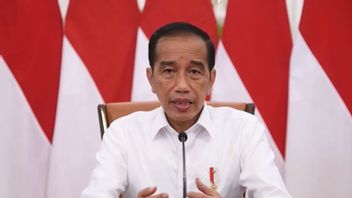 President Jokowi Bans CPO Exports, Observer: Jokowi's Whisperers Don't Give Misleading Advice
